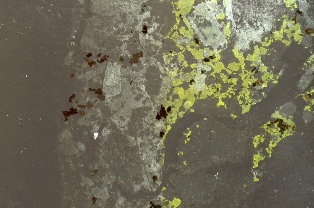 Plane Polarized, E36934