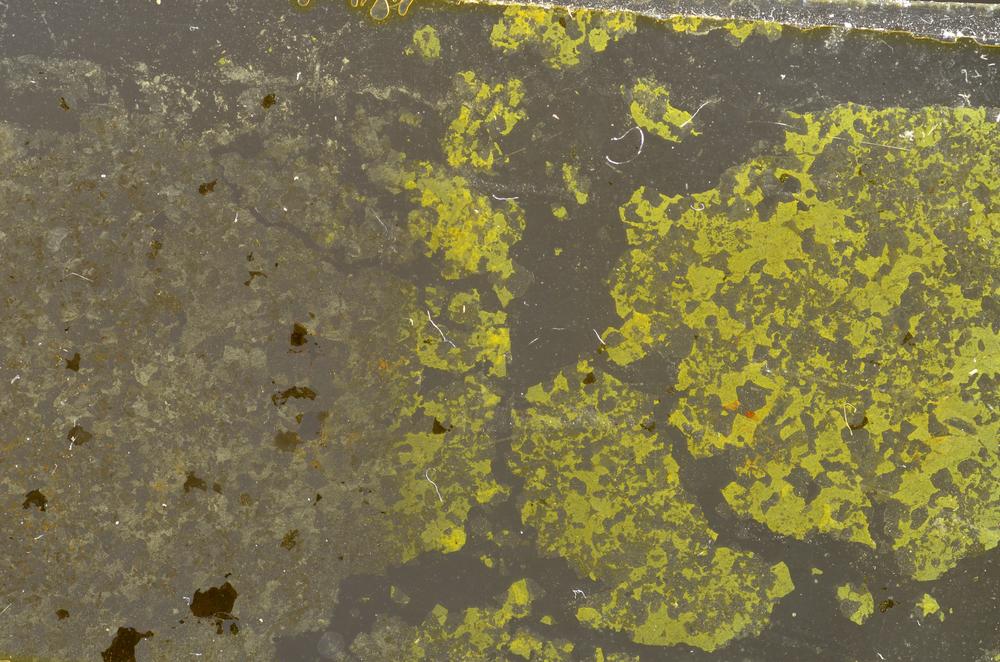 Plane Polarized, E36939