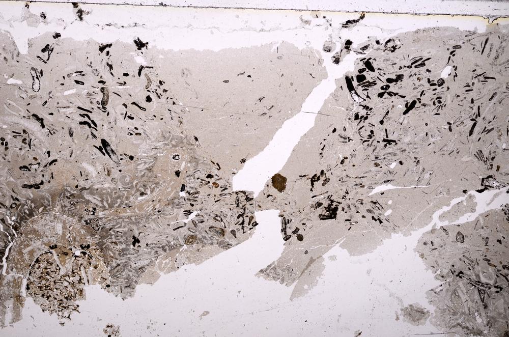 Plane Polarized, E37123