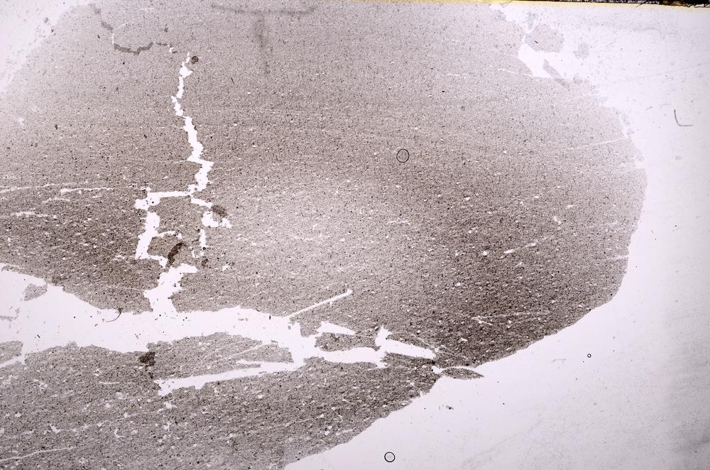 Plane Polarized, E37142