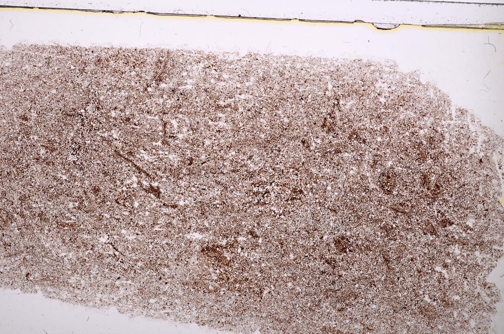 Plane Polarized, E37256