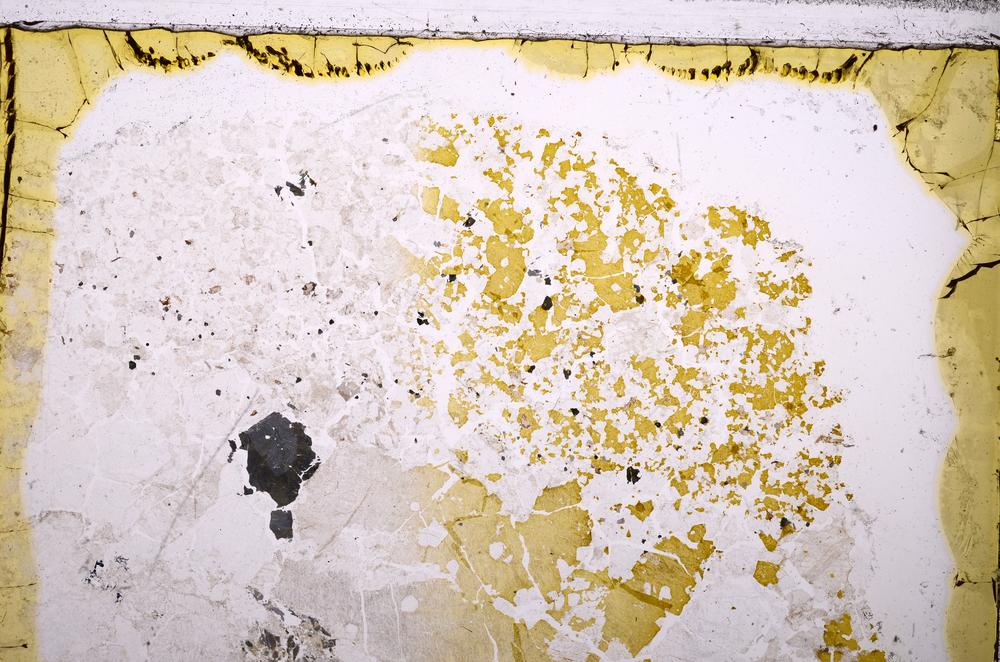 Plane Polarized, E37261