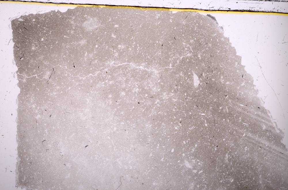 Plane Polarized, E37326