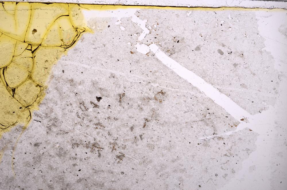 Plane Polarized, E37350