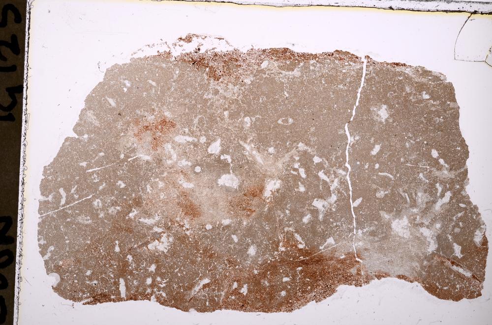 Plane Polarized, E37363