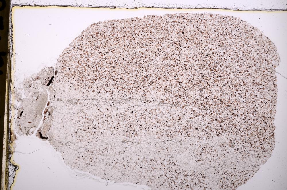 Plane Polarized, E37364