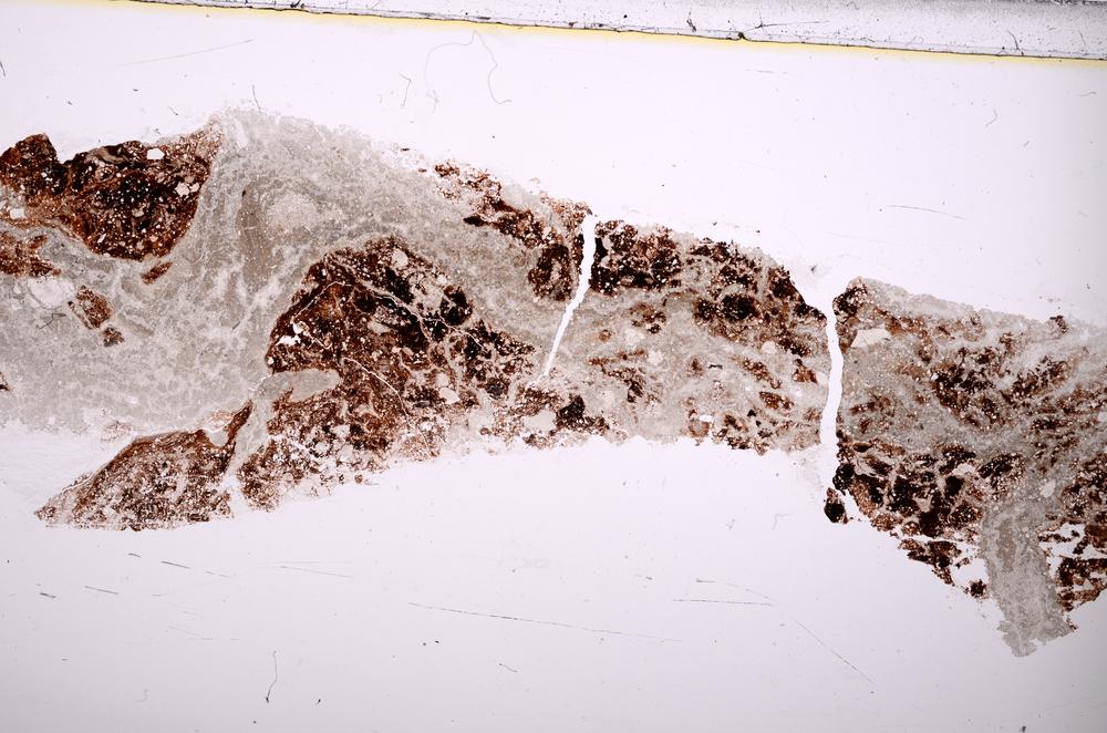 Plane Polarized, E37367