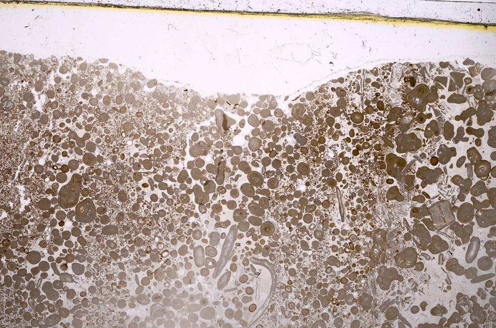 Plane Polarized, E37499