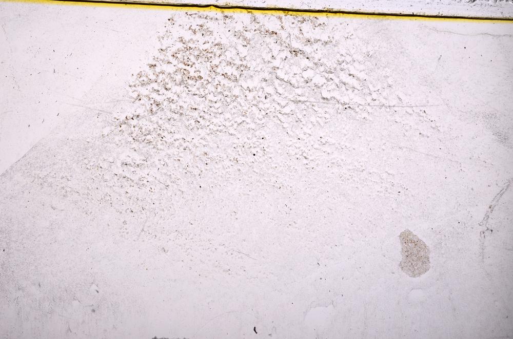 Plane Polarized, E37596