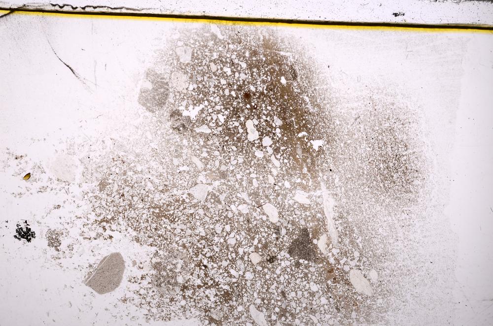 Plane Polarized, E37700