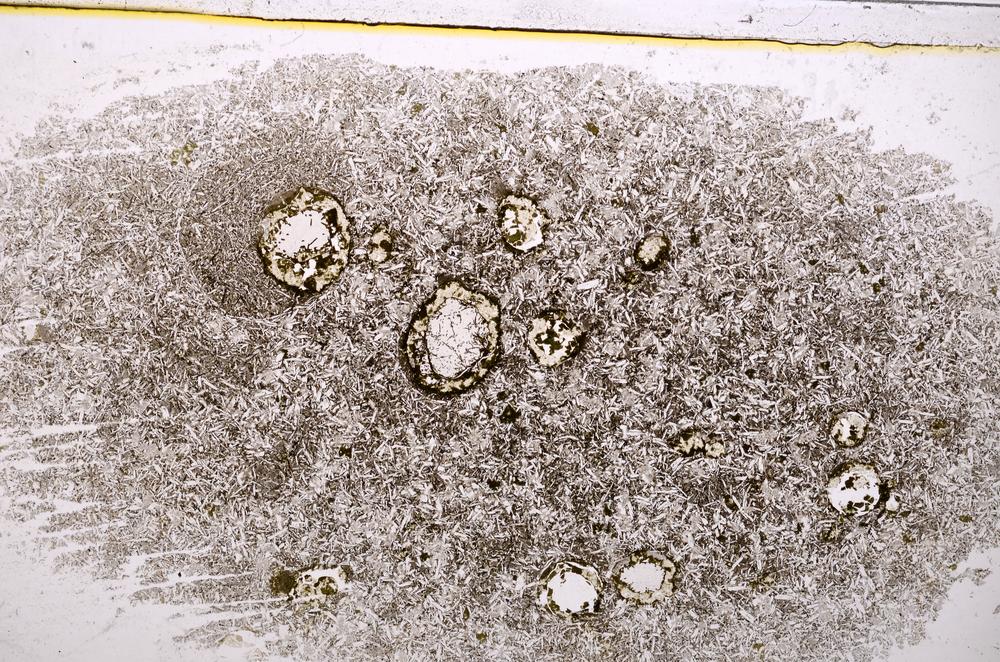 Plane Polarized, E37764