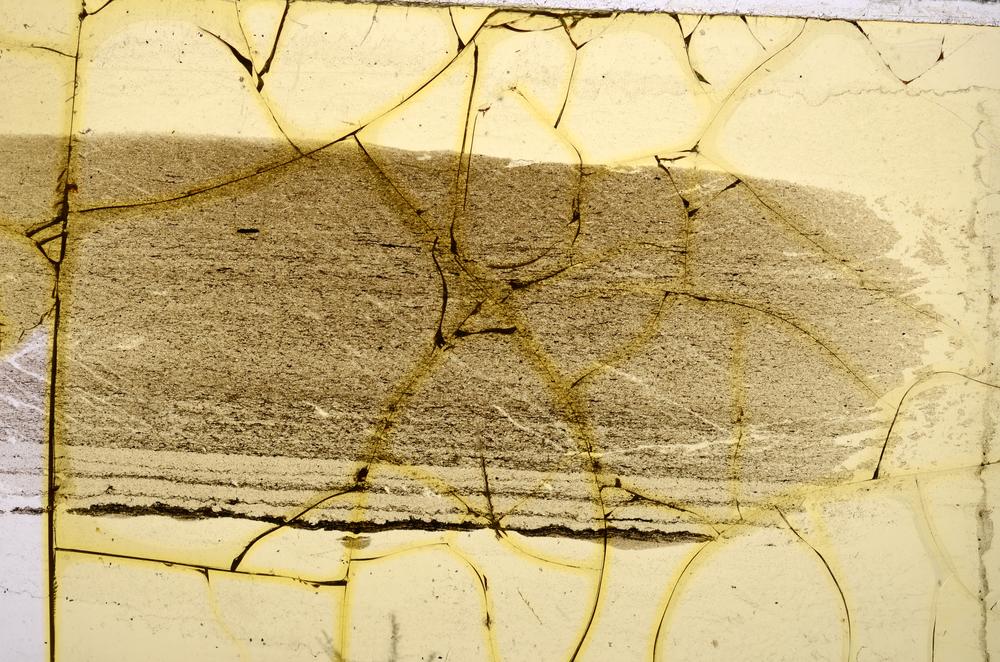 Plane Polarized, E37799