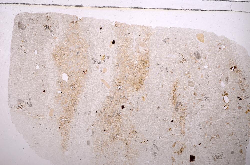 Plane Polarized, E37820