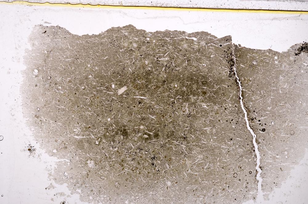 Plane Polarized, E37828