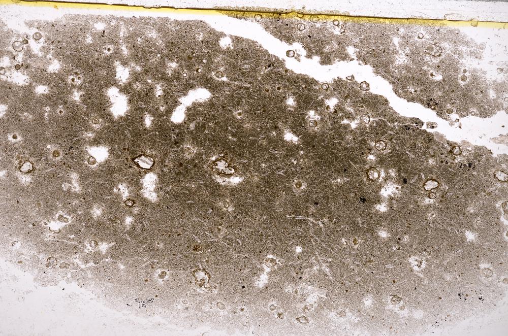Plane Polarized, E37829