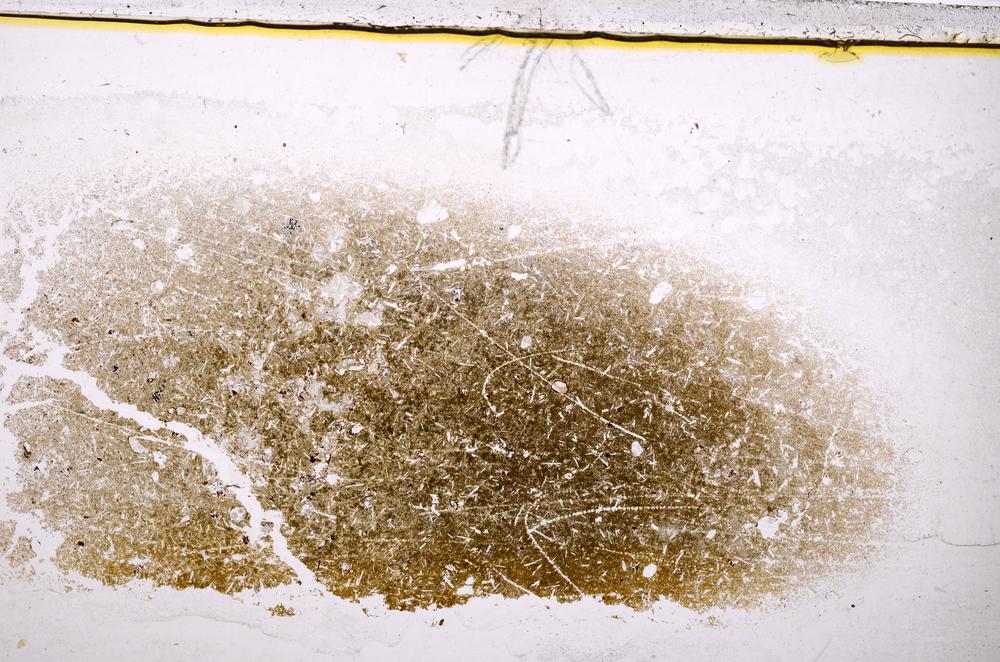 Plane Polarized, E37831