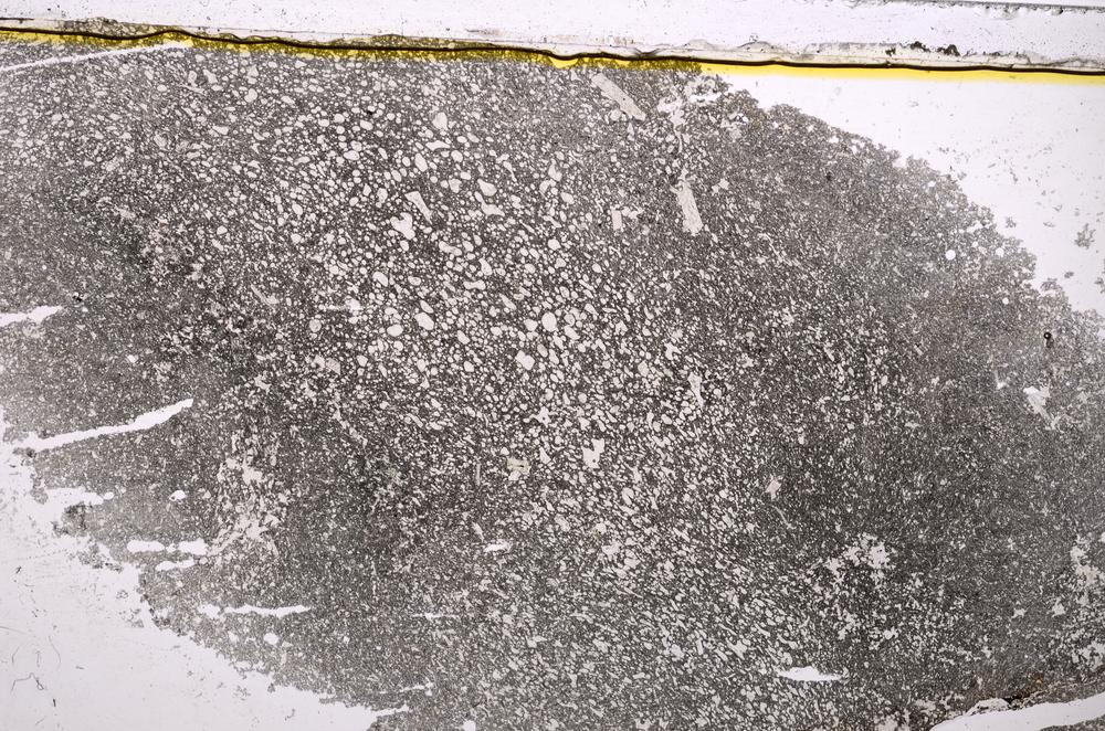 Plane Polarized, E37849