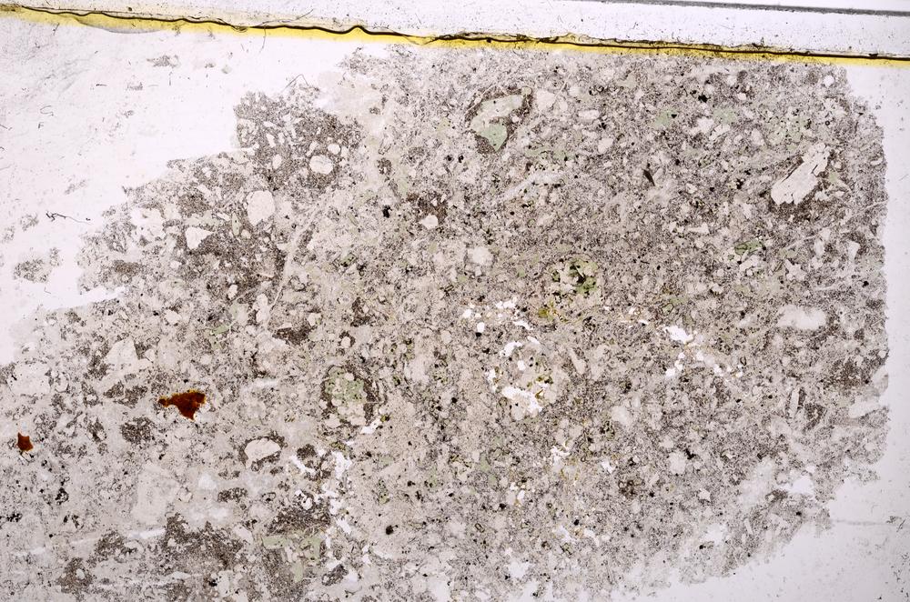 Plane Polarized, E37855