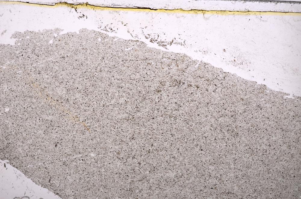 Plane Polarized, E37857