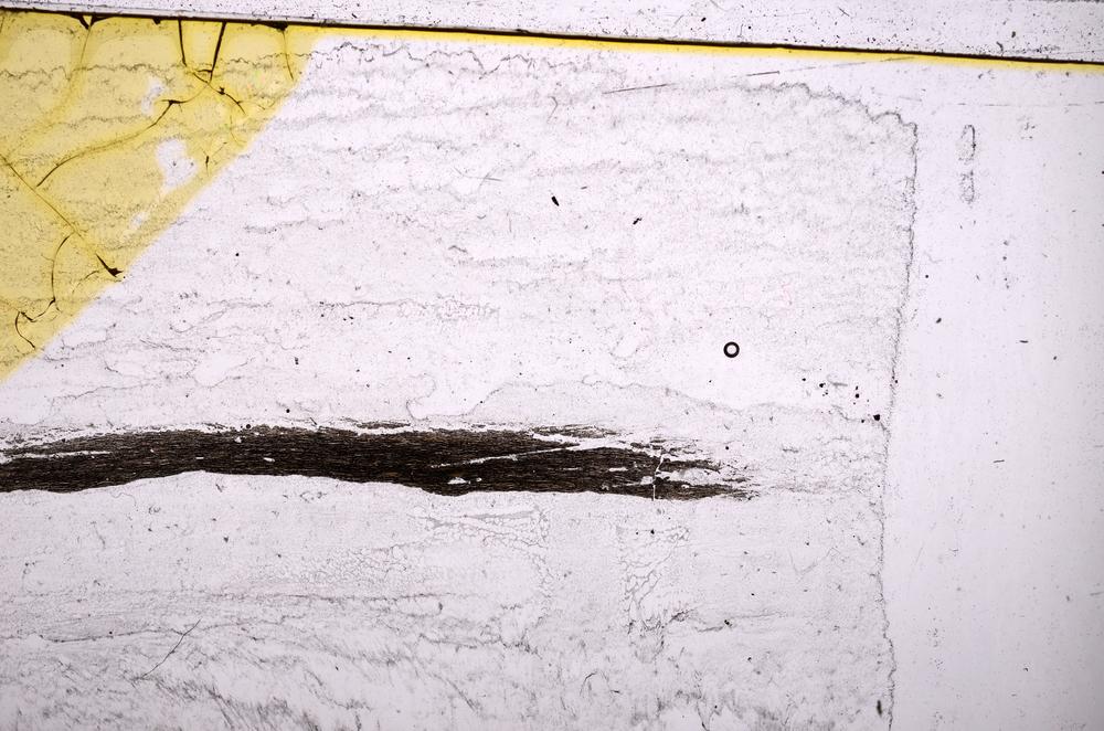 Plane Polarized, E37863