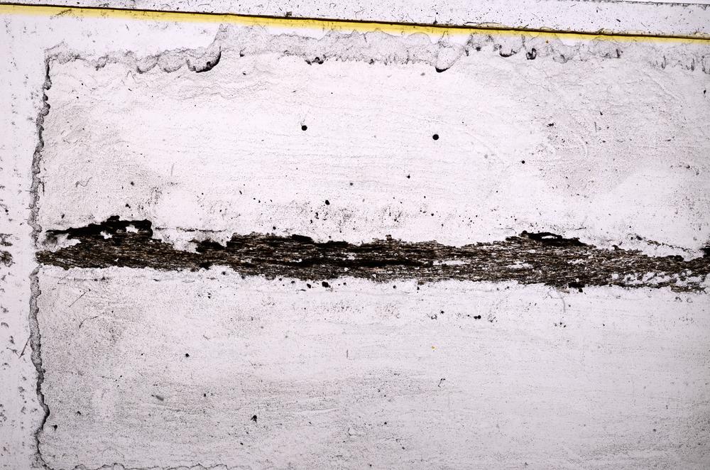 Plane Polarized, E37864