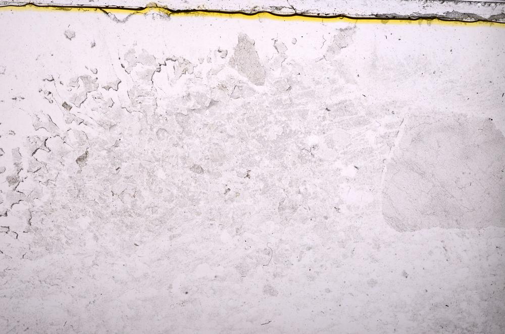 Plane Polarized, E37911