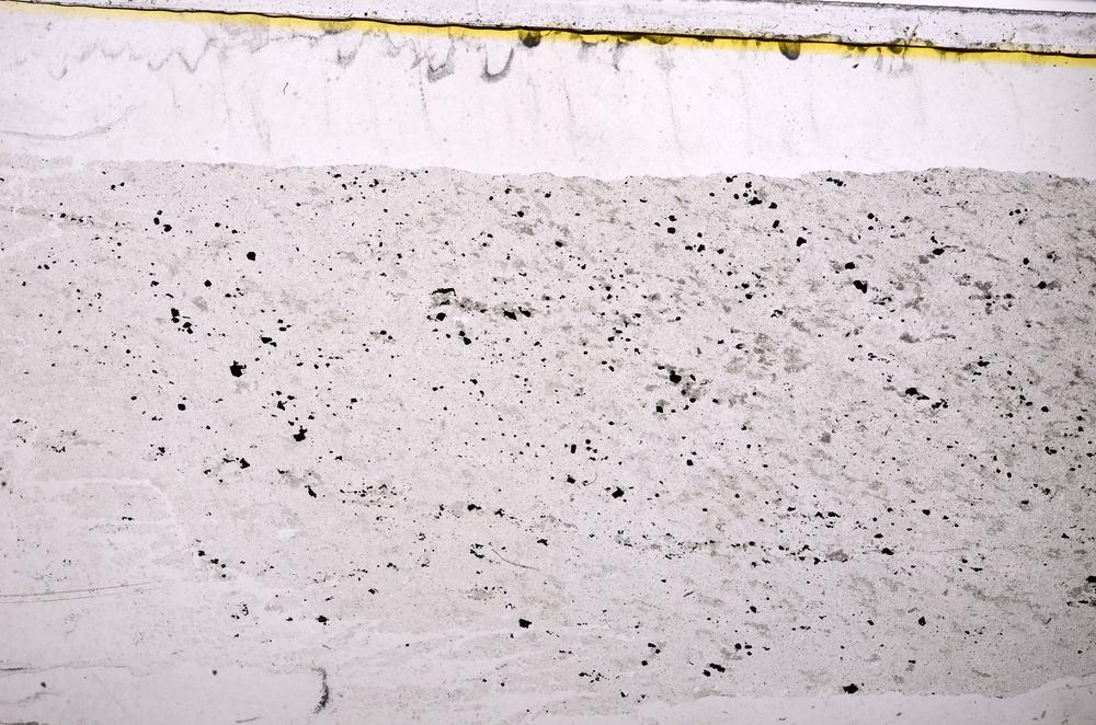 Plane Polarized, E37991