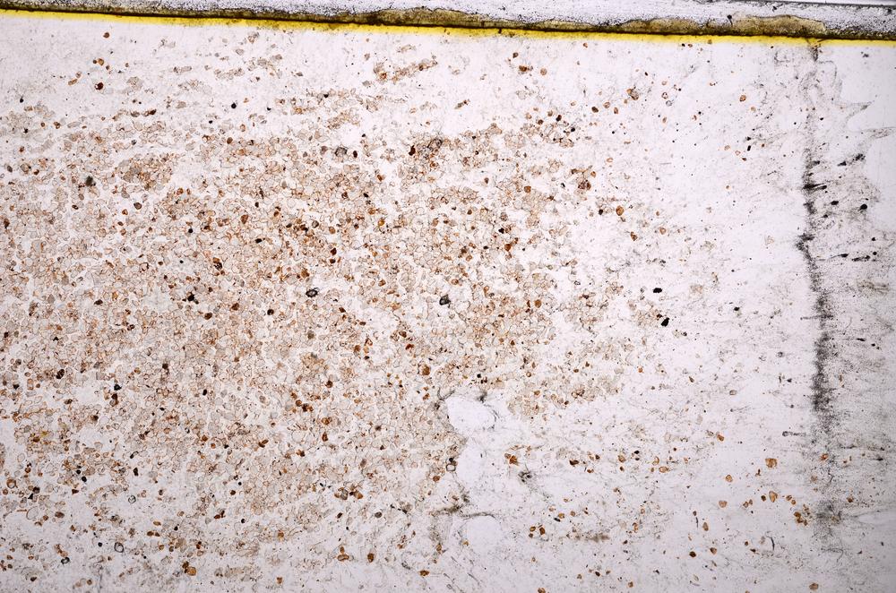 Plane Polarized, E38057