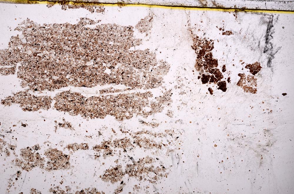 Plane Polarized, E38058