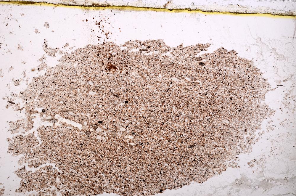 Plane Polarized, E38059