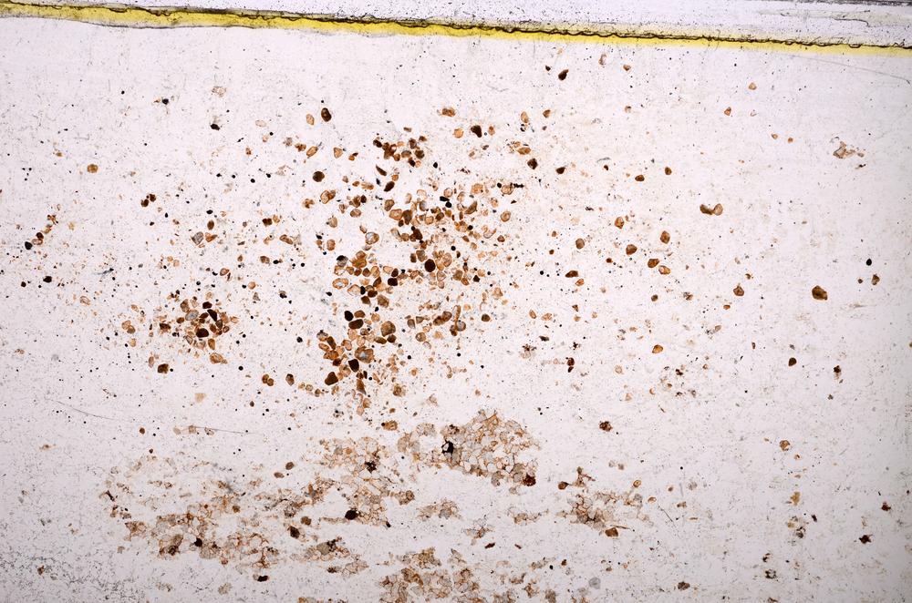 Plane Polarized, E38060