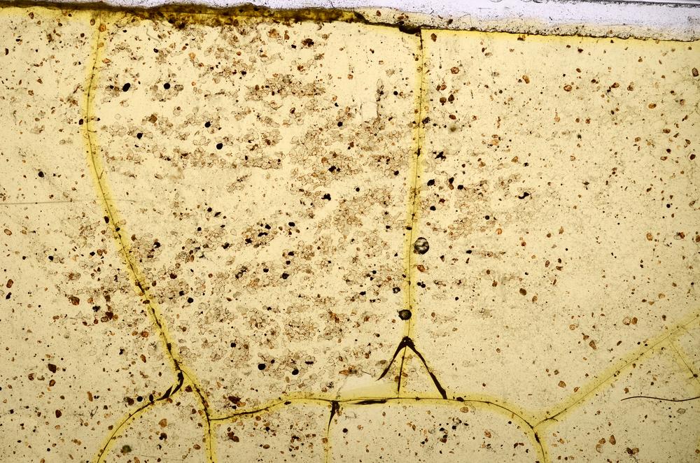 Plane Polarized, E38061