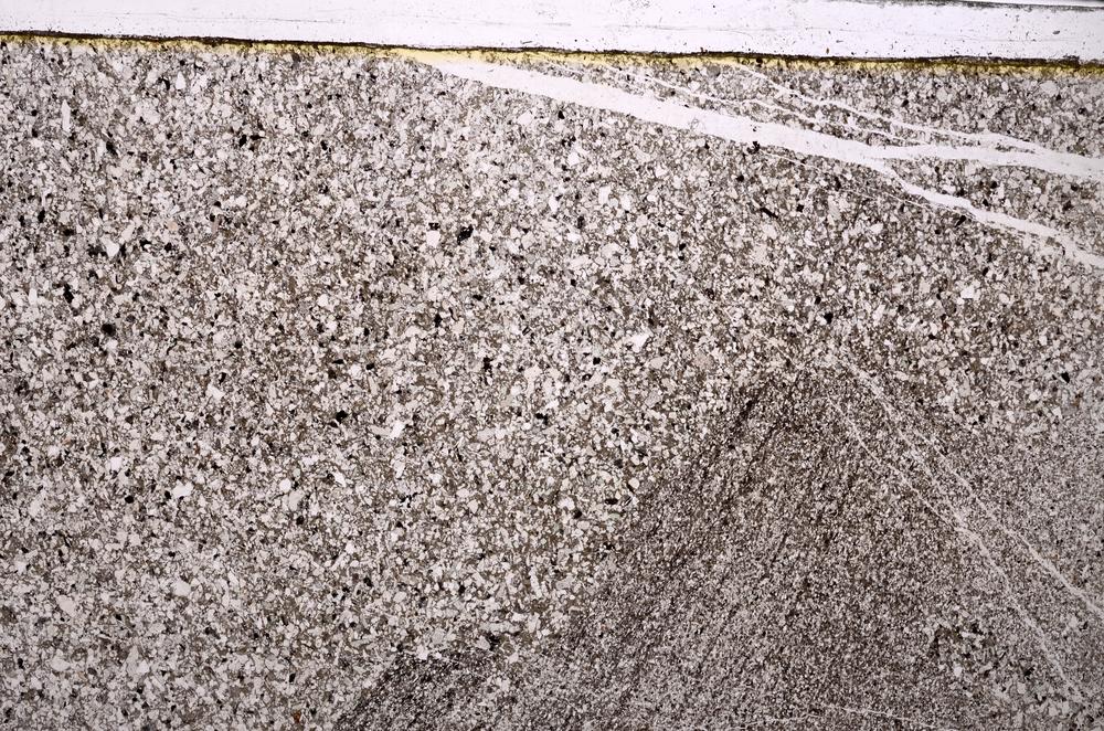 Plane Polarized, E38135