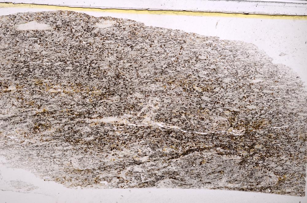 Plane Polarized, E38220