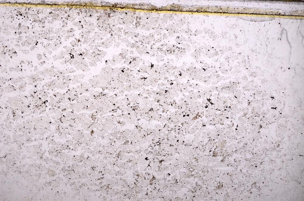 Plane Polarized, E38276