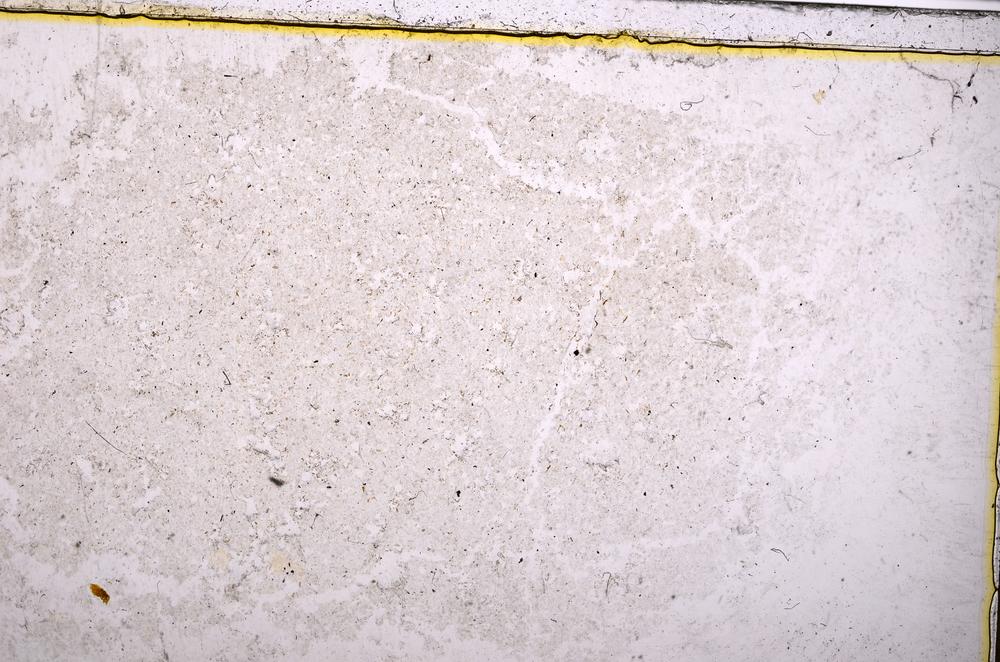 Plane Polarized, E38314