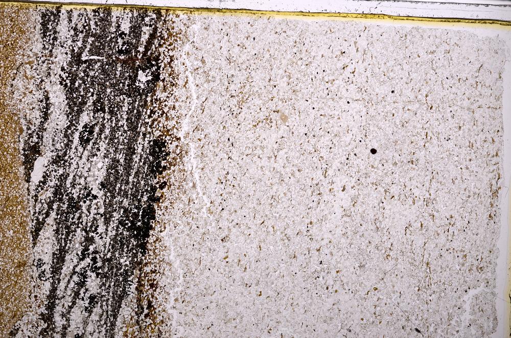 Plane Polarized, E38337