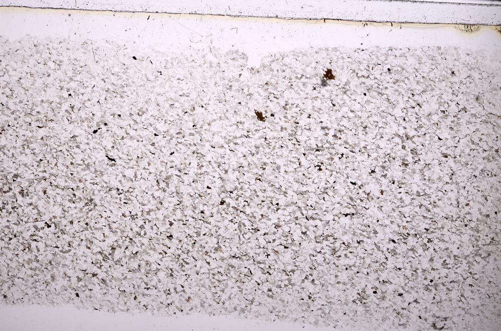 Plane Polarized, E38349