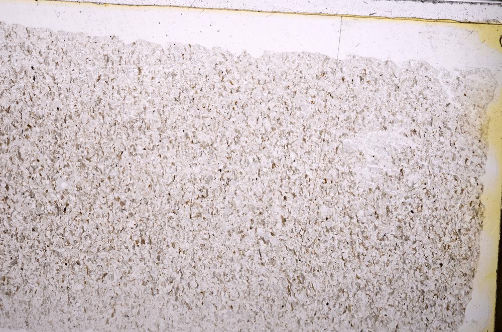 Plane Polarized, E38350