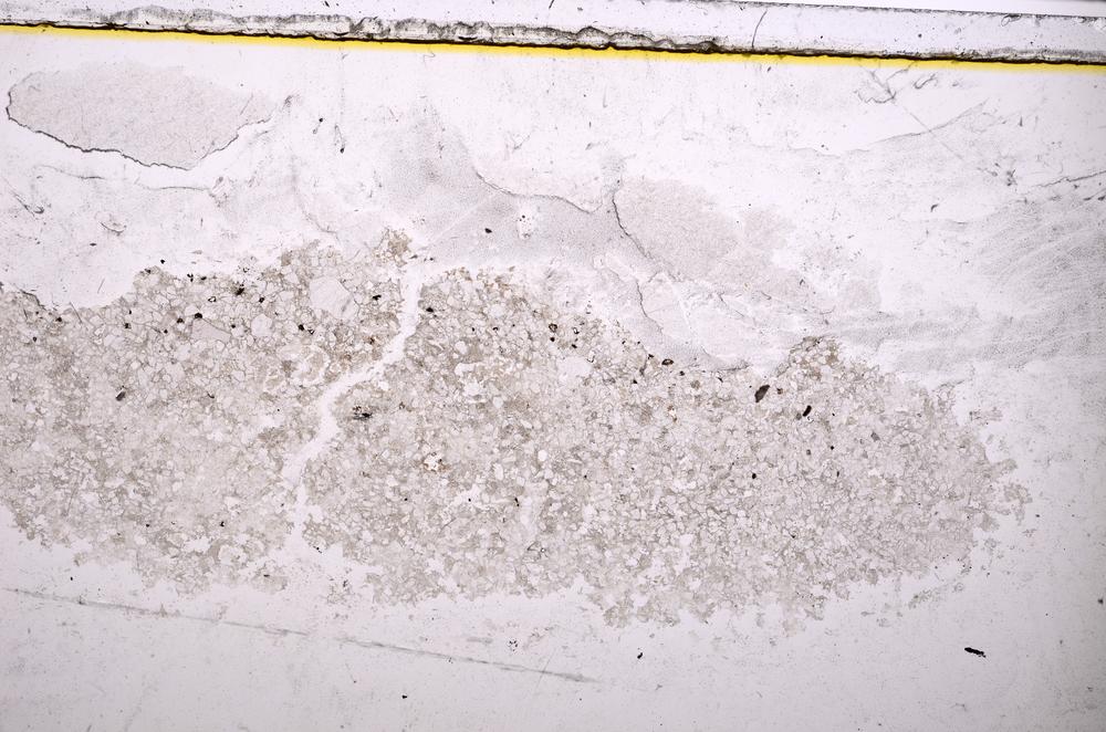 Plane Polarized, E38395