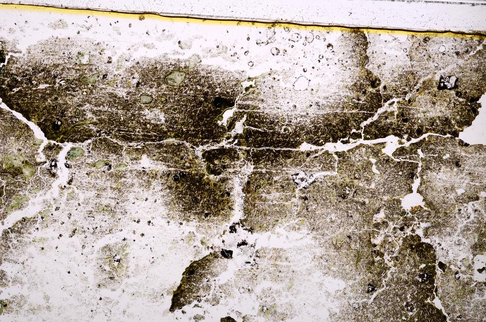 Plane Polarized, E38419