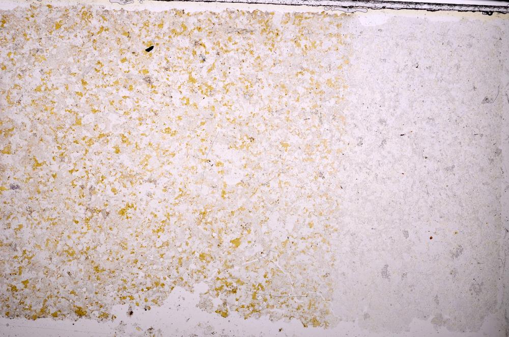 Plane Polarized, E38445