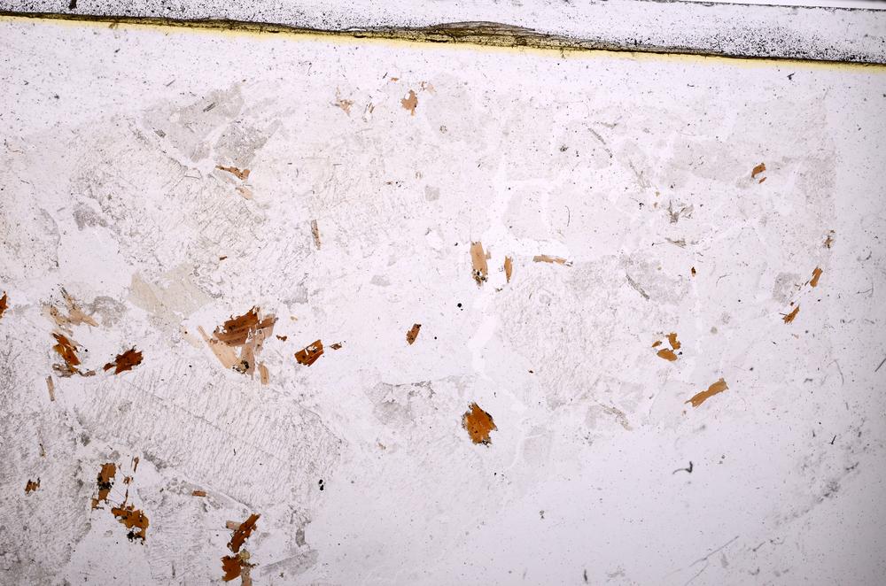 Plane Polarized, E38452