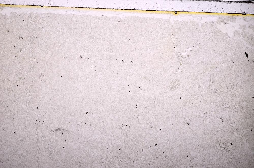 Plane Polarized, E38626