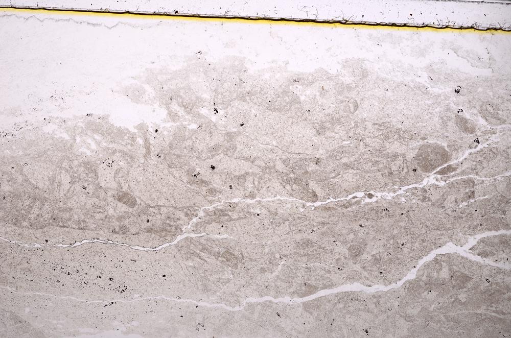 Plane Polarized, E38642