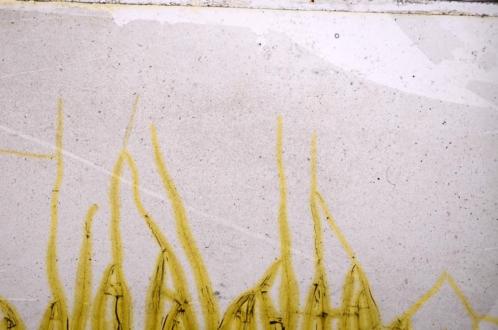 Plane Polarized, E38722