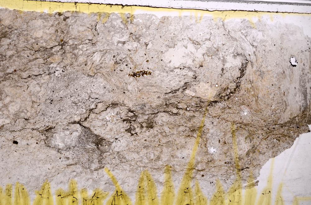 Plane Polarized, E38723