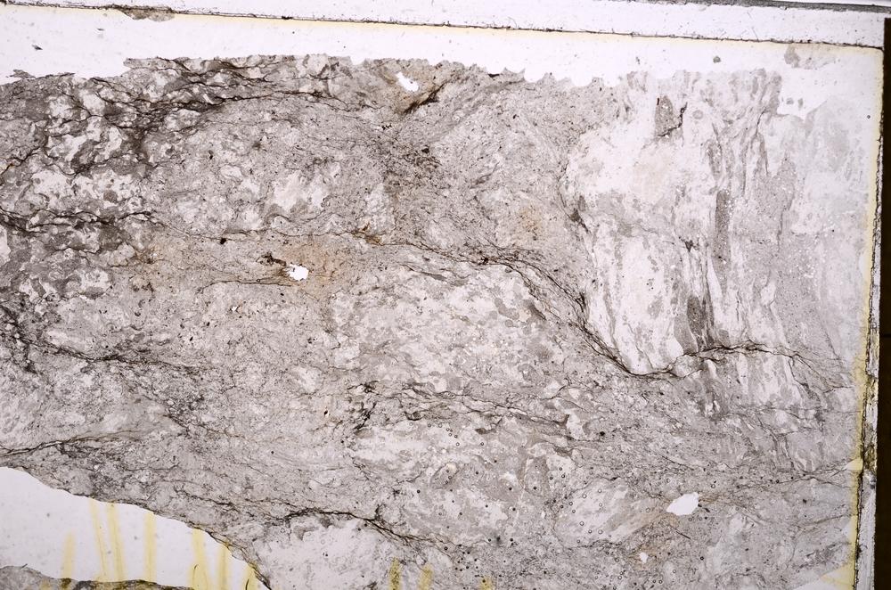 Plane Polarized, E38724