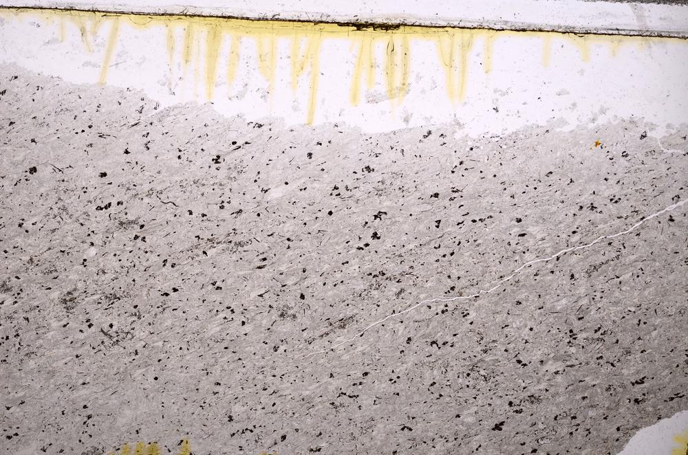 Plane Polarized, E38726