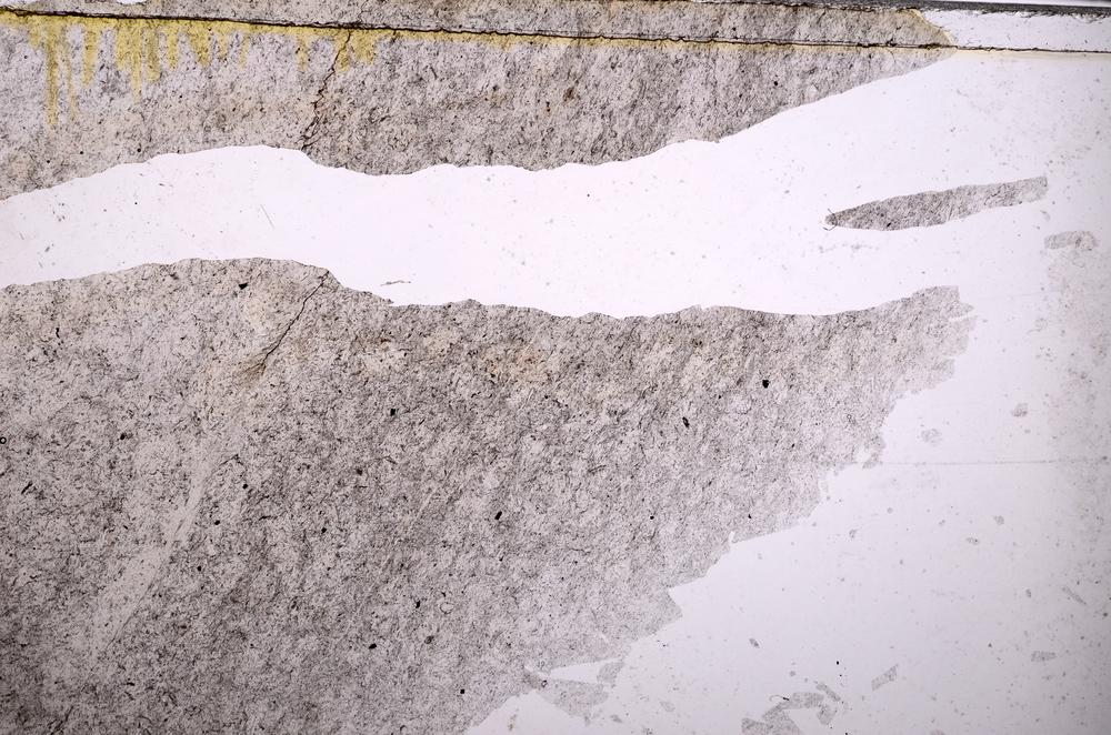 Plane Polarized, E38727